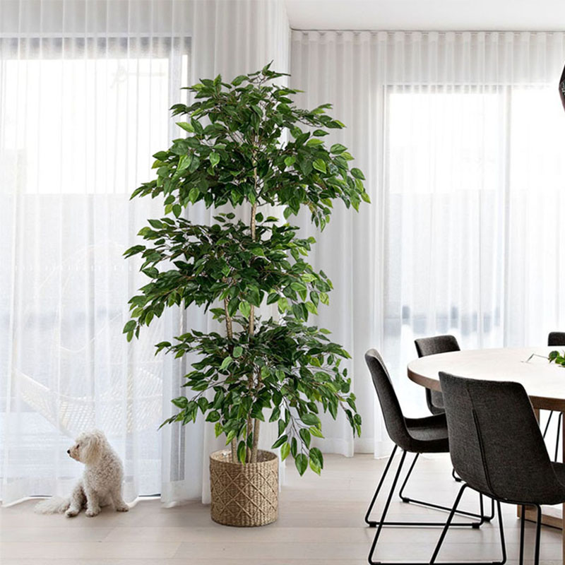 Dracaena Marginata - 대형 열대 식물 플라스틱 가짜 잎,