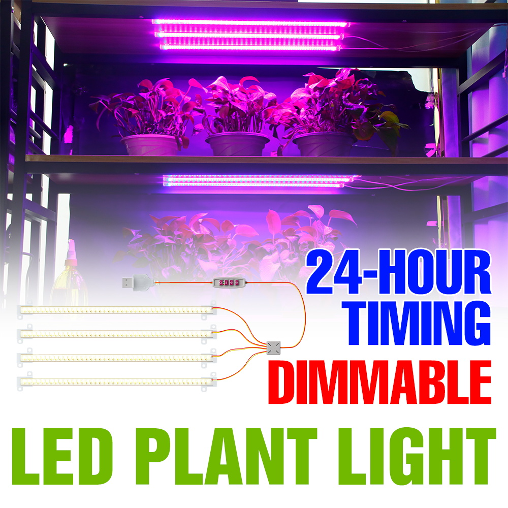 Echeveria Succulent - LED 실내 식물 조명 바 USB