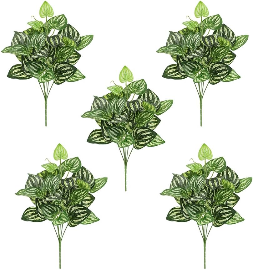 Peperomia Watermelon - 5Pcs 수박 Peperomia 인공 식물 12.9