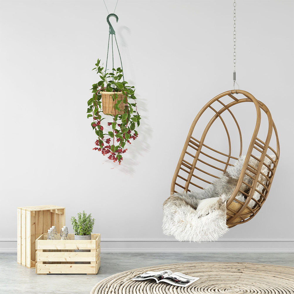 5개입 걸이형 화분 걸이 세트 공간 절약형 원형 체인  - Spider Plant Hanging 리뷰 및 가격