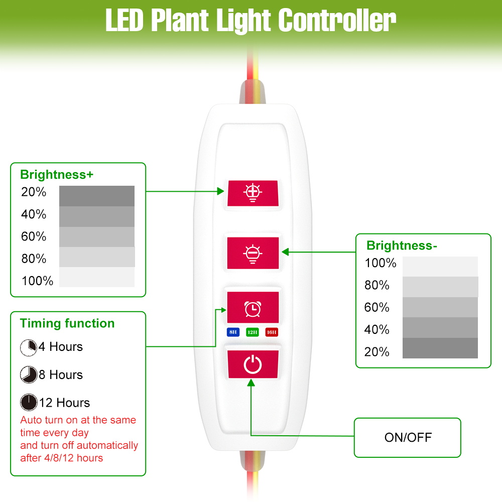 LED 실내 식물 조명 바 USB 풀 스펙트럼 씨앗 성 - Echeveria Succulent 리뷰 및 가격