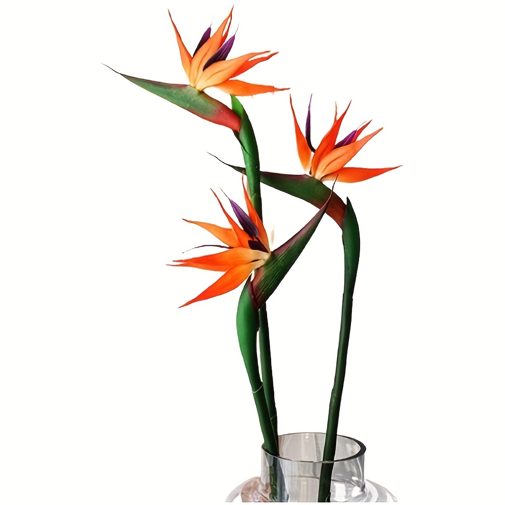 3pcs 낙원 꽃의 인공 새 고무 Strelitzia  - Bird Paradise Strelitzia 리뷰 및 가격