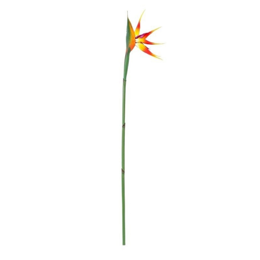 새로운 긴 줄기 인조 귀환조화 장식용 리얼한 촉감의 인 - Bird Paradise Strelitzia 리뷰 및 가격
