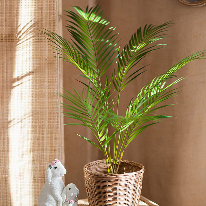 125cm 대형 인조 야자수 열대 식물 가지 플라스틱  - Dracaena Marginata 리뷰 및 가격